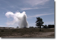 Old Faithful